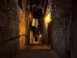 Pride History GIF by The Real Mary King's Close