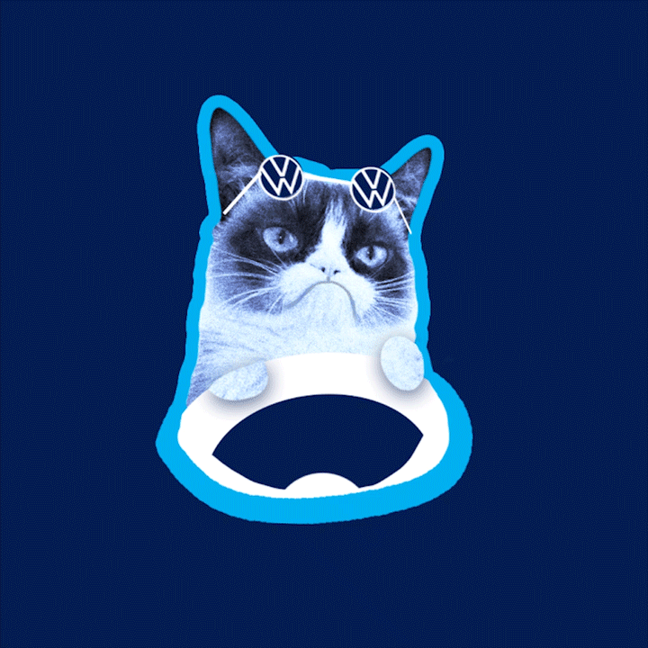 Cat Car GIF by Volkswagen Česká republika Find & Share on GIPHY