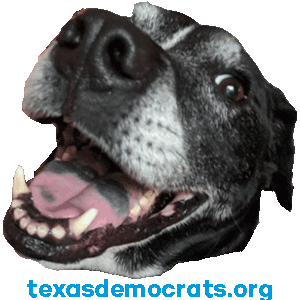 Texas Democrats Sticker
