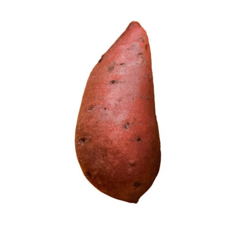 Sweet Potato Farming Sticker by Spudsy Foods