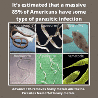 detoxheavymetalssafely-sugar-gut-biofilm-YRe3GLq4hoEXVNW5TI