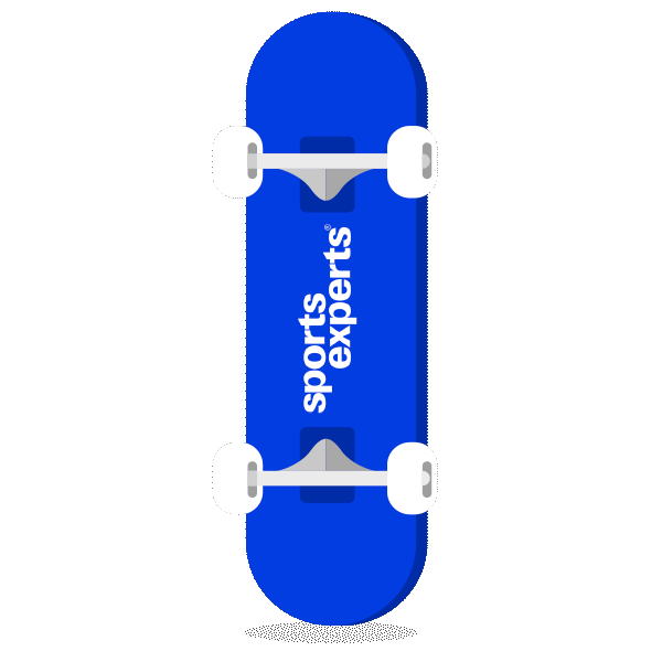 skateboard sports experts