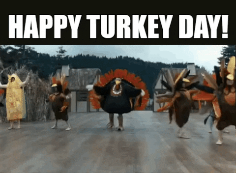 giphy.gif