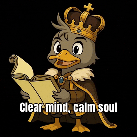 Peace Focus GIF by SirDuckbeth