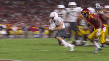 Touchdown Max GIF by Pac-12 Network