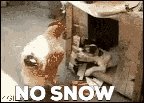 giphy.gif?cid=790b76115b133b1b33a28f94e7