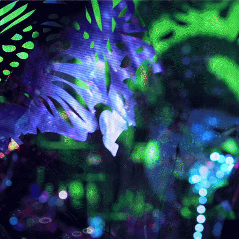 Artist Neon GIF by Julia Sinelnikova