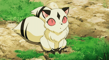 Kirara GIF