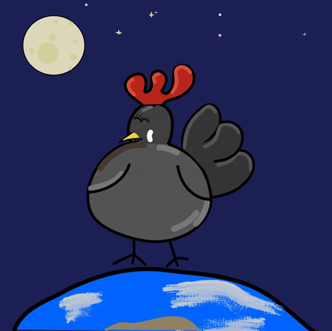 Chickens_gang space chickens adventures poule GIF