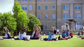 Tcu GIF