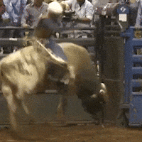 pbr-high-school-rodeo-nhsra-YT805t3TRDy6uISZuN