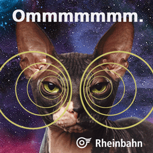 Bus Haltestelle GIF by Rheinbahn