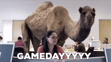 Gameday GIF