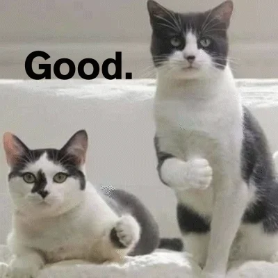 Cats Thumbs Up GIF