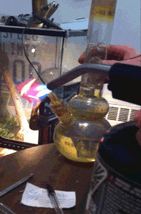 200w.gif