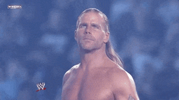 Shawn Michaels Sport GIF by WWE