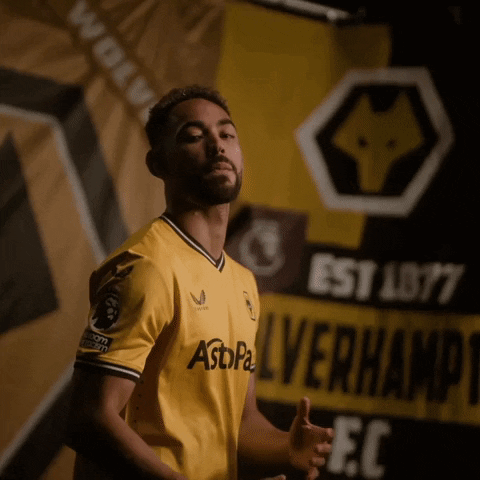Lets Go Football GIF by Wolves