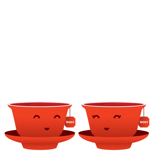Boh Tea GIFs Get the best GIF on GIPHY