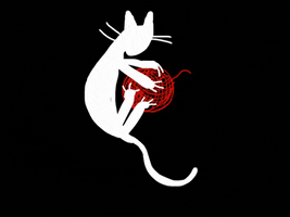 Cat Pounce GIF by Barbara Pozzi