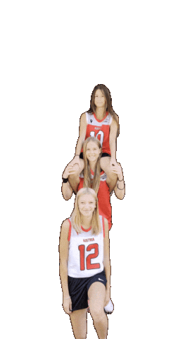 Flagfootball Sticker by flag-indians