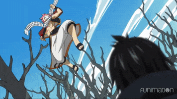 fairy tail punch GIF by Funimation