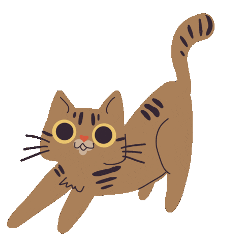 Cat Gatos Sticker by universoanimalmx