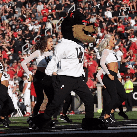 College Football Dancing GIF by Cincinnati Bearcats