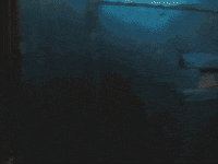 Fox Tv Comedy GIF by Ghosted - Find & Share on GIPHY