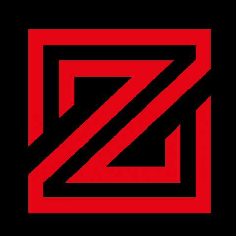 Fitness Workout GIF by Team Zone