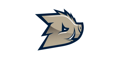 Dziki Warszawa Sticker