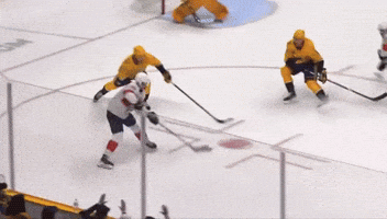 Florida Panthers GIF