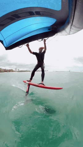 Surf-iphone GIFs - Get the best GIF on GIPHY