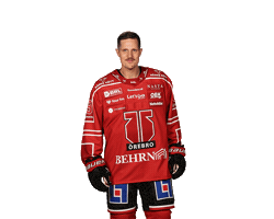 Money Karla Sticker by Örebro Hockey