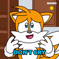 Dont Be Sad Sonic The Hedgehog GIF by Mashed