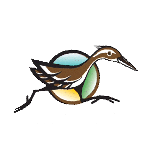 Kika Kiko Sticker by Visit Guam