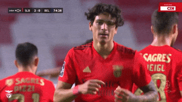 200.gif?cid=fc005b08de0fa259768dd2b254fc83f30b929736afd05aca&rid=200.gif&ct=g