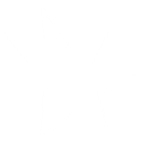 Illustration Star Sticker