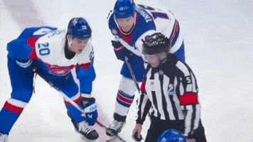 Hockey Usa GIF