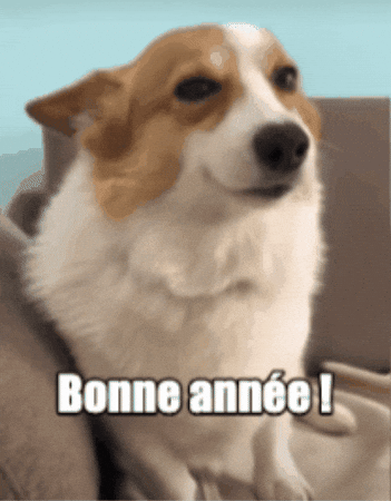 Bonne Année GIF by JAPHY