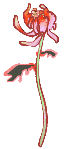 Chinese New Year Flower Sticker