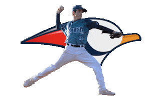 Marco Pitch Sticker by Senago Baseball