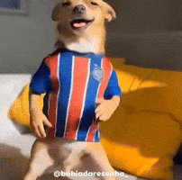Bahiadaresenha GIF