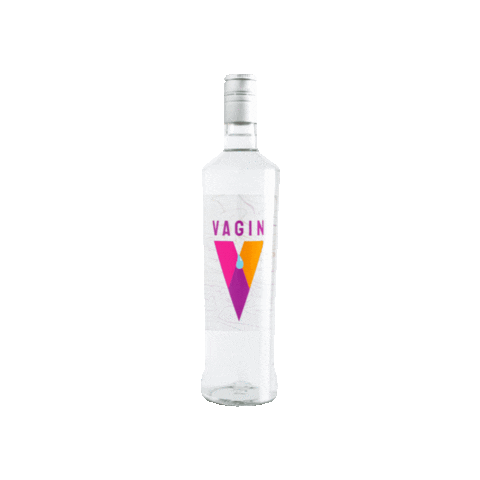 V4gin Sticker