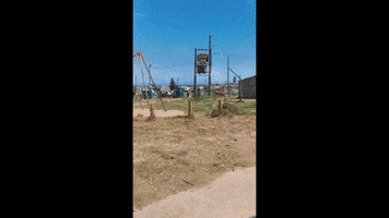 thelxp GIF