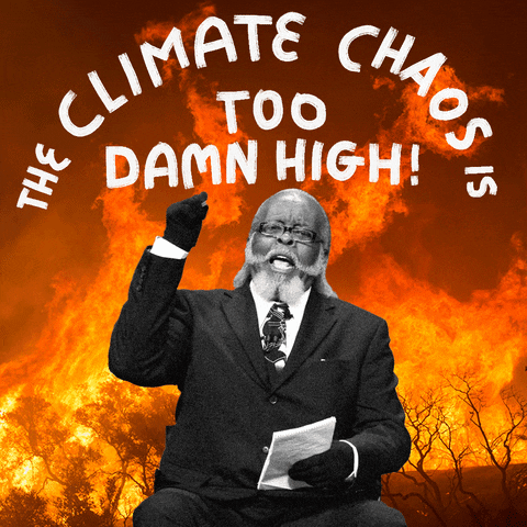 Meme gif. Mayoral candidate Jimmy McMillan shouting emphatically, fist raised, around him a raging forest fire, white marker font above reads, "The climate chaos is too damn high!"