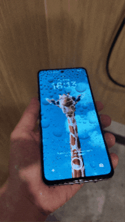 Animated GIF