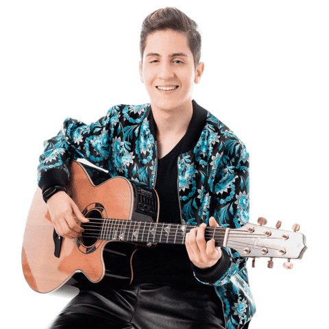 Hugo Henrique Oficial Sticker