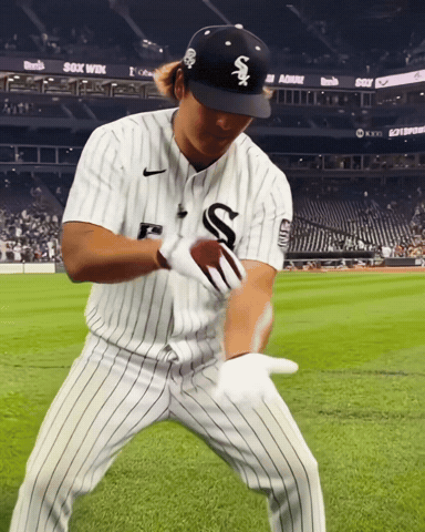 White Sox Dancing GIF