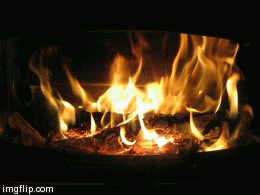 Video gif. Thin logs burning in a fire.
