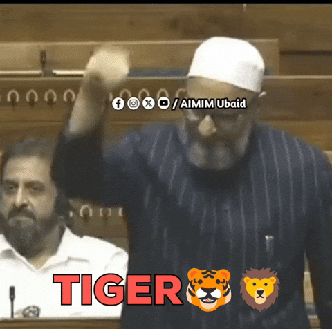 India Tiger GIF
